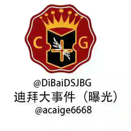 迪拜大事件（曝光）