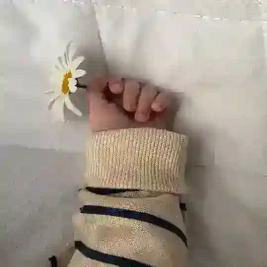 𝕯𝖎𝖑𝖋𝖎𝖗𝖚𝖟 Profile