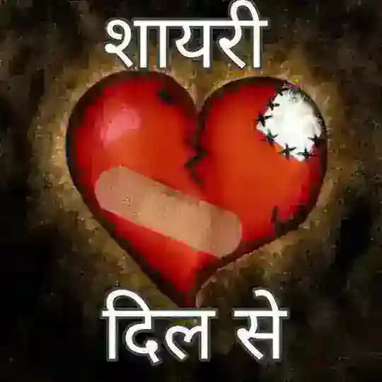 शायरी दिल से ❤️ Profile