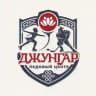Ледовый Центр «Джунгар»