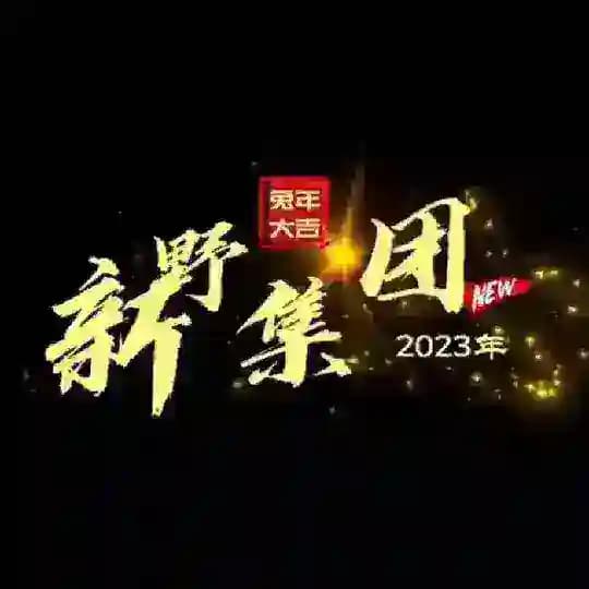 新野信誉频道