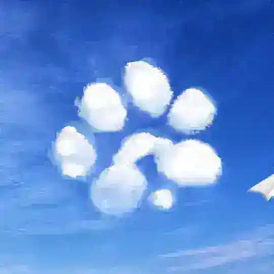 Paws News