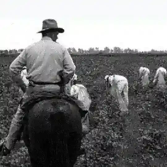 Doctors Farm قلعه پزشکان