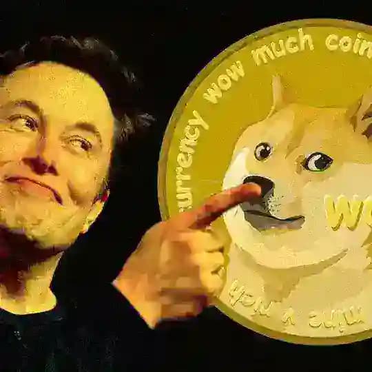 Dogecoin Crypto | Token