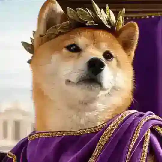Dogius Maximus Portal
