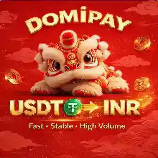 DomiPay 🇮🇳India pays USDT to exchange for INR