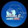 សារព័ត៌មានដំរី(Domrey News)