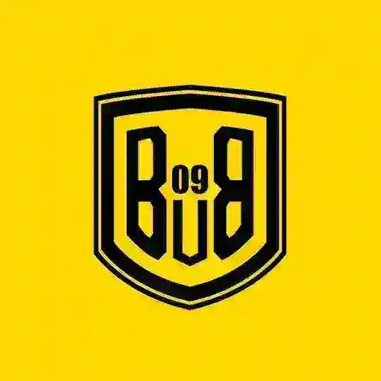 Dortmund Vibes | Шмели из Дортмунда