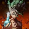 Dr. Stone