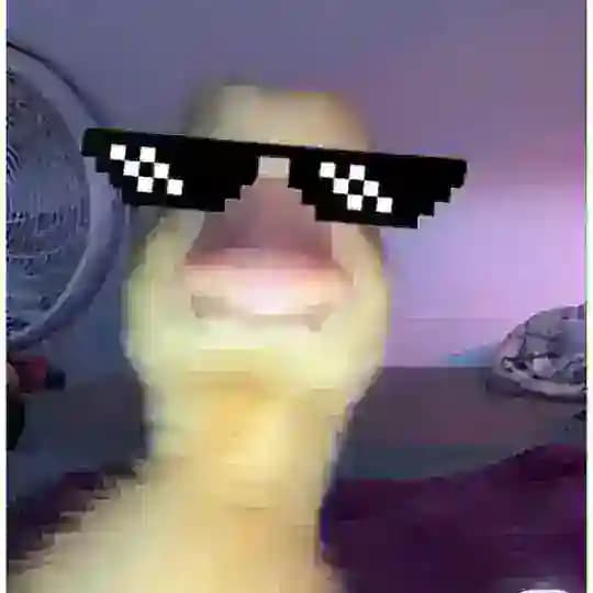 اردک تک تک