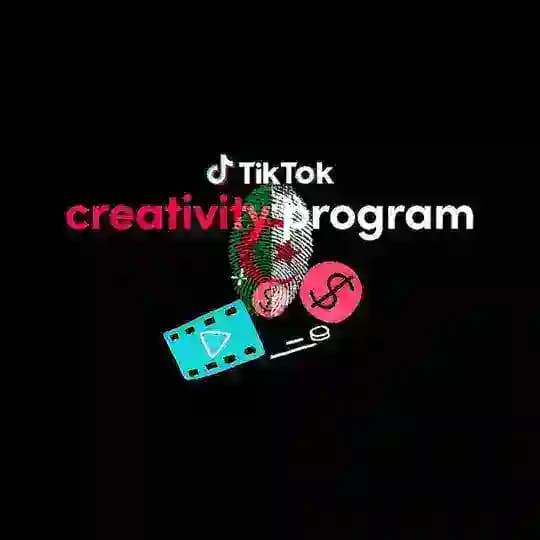 تحميل تطبيق تيك توك بيطا بدون VPN 🇩🇿 + دعم الحسابات Profile