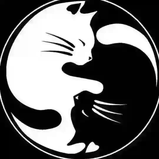 دليل ثقه Ace لـ بيع حسابات