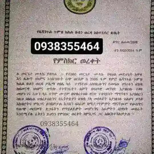 መርጌታ መላኩ አለማቀፍ የባህል መድሀኒት ቀማሚ