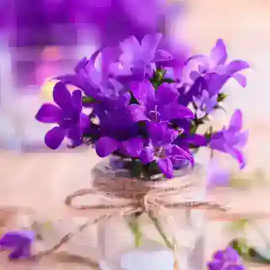 إشراقات الصباح (همسة صباحية)