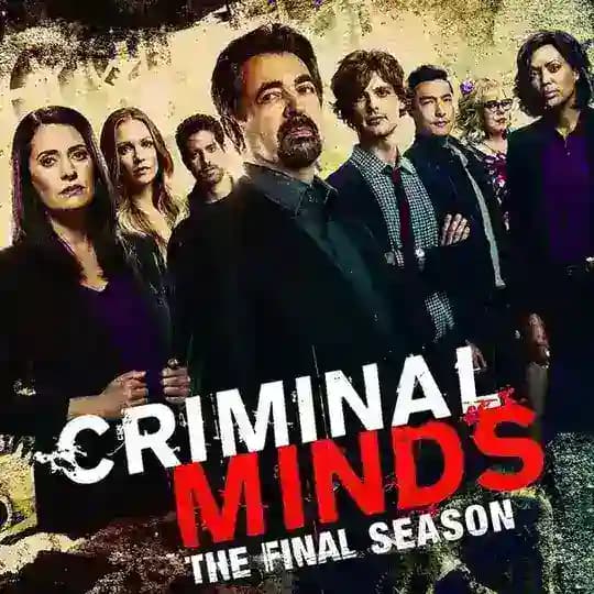 🇫🇷 ESPRITS CRIMINELS / CRIMINAL MINDS VF FRENCH SAISON 1 à 16 INTEGRALE