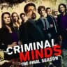 🇫🇷 ESPRITS CRIMINELS / CRIMINAL MINDS VF FRENCH SAISON 1 à 16 INTEGRALE