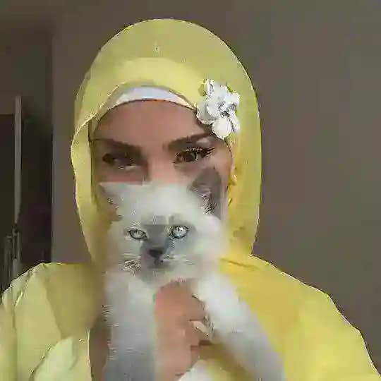 استثمار وتداول ارباح فلوس •