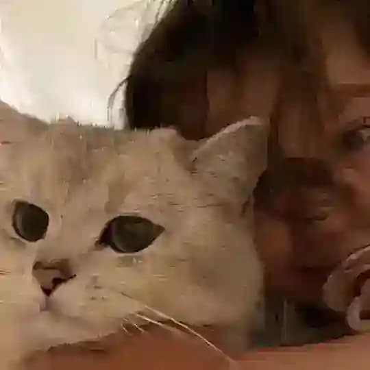 إيْفَدُيكيَا.
