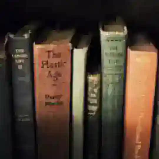 Ebook e PDF´s (Acervo)