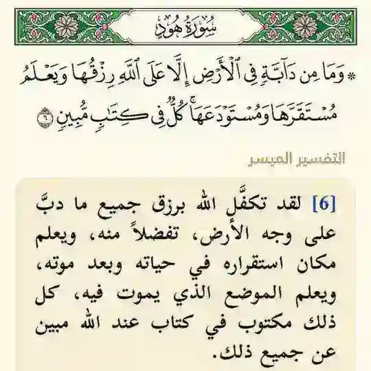 كن إيجابيًا 🔖