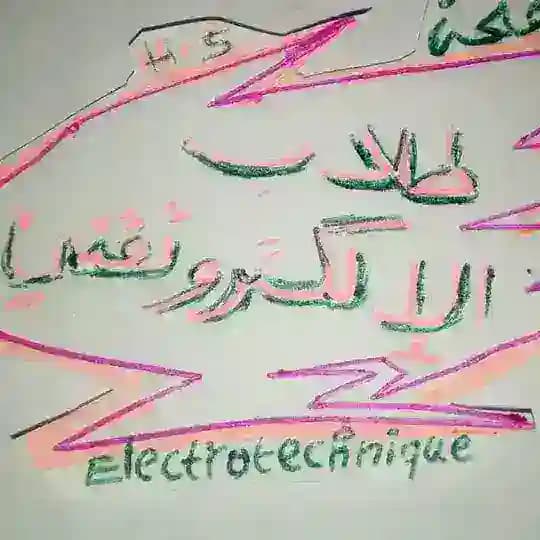 Electrotechnical students Profile
