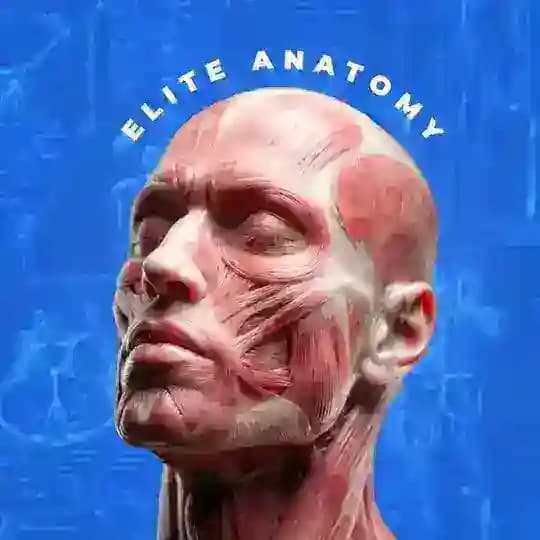 Elite Anatomy 💀