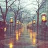 اقتباسات عن الشتاء ❄