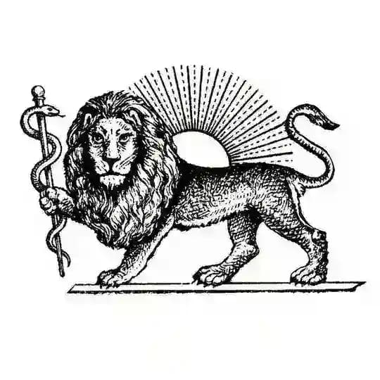 راهنمای امداد و اقدامات درمانی حیاتی