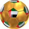 الكرة الإماراتية ⚽️ 🇦🇪