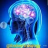 Endocrine Courses