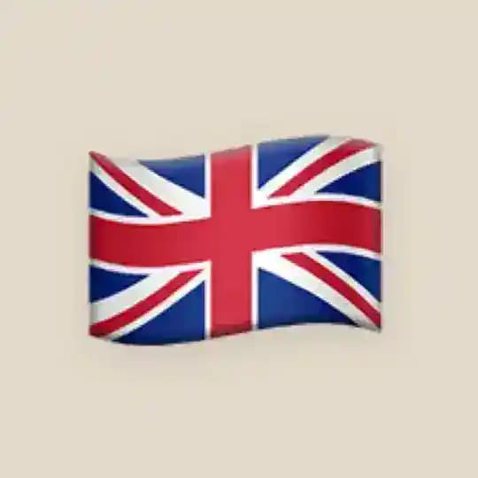 English speaking ( online and offline)