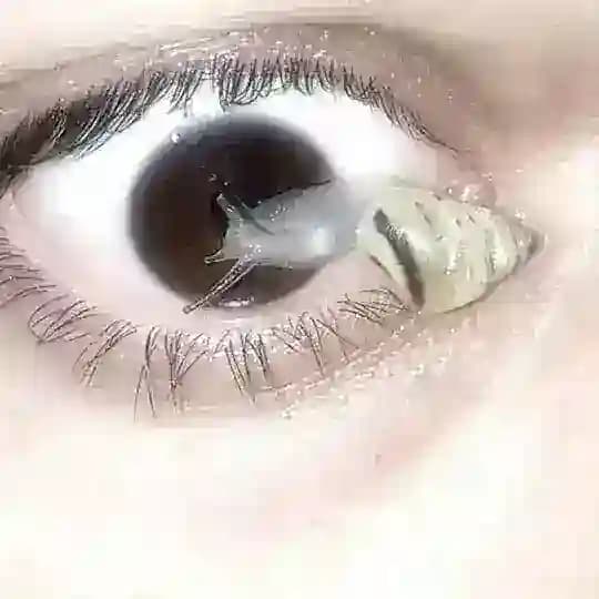 𝙴𝙽𝙺𝙾 𝙶𝙸𝚁𝙻.