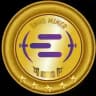 Envo Miner Announcement
