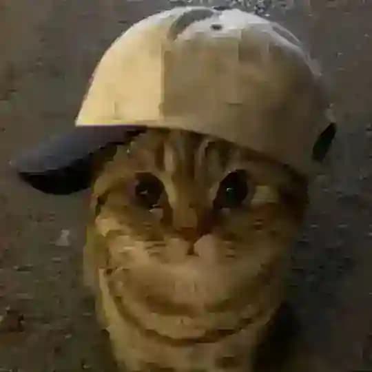𝗮𝘀𝗶𝗿𝗲𝗺