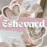 CLOSEDOWN — ESHEVARD 🇵🇸