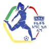 EFF Women's Football League