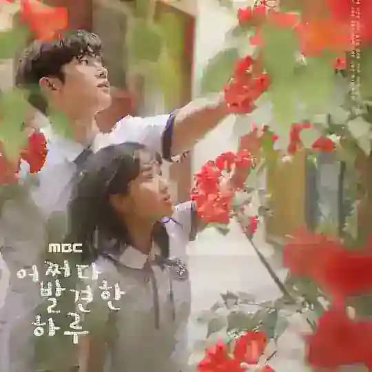 Extraordinary You 2019 Sub Indo