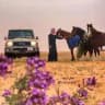 هواي البر فهد