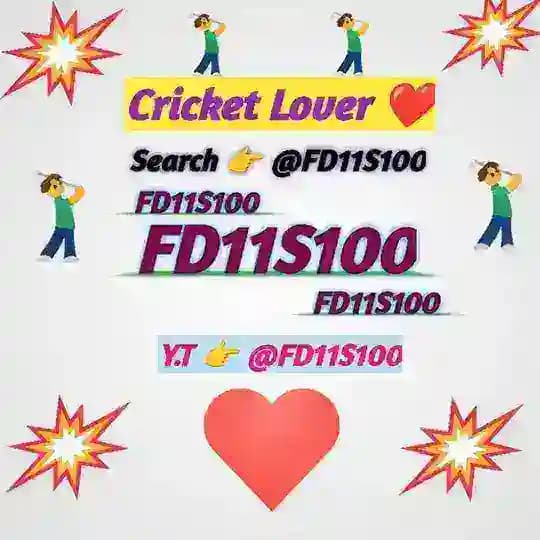 FD11S100