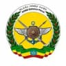 FDRE Defense Force - የኢፌዴሪ መከላከያ ሠራዊት