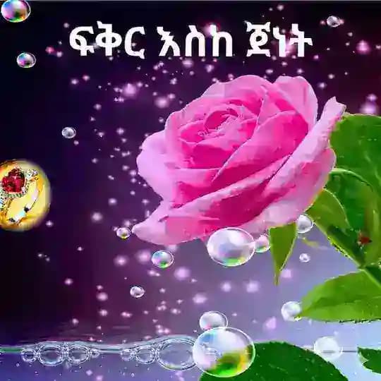 ፍቅር እስከ ጀነት (𝐑𝐚𝐦𝐚𝐬)
