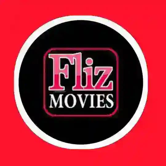🎗FLIZ MOVIES