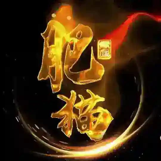 〽️肥猫银图官方频道〽️网银转账生成器银图频道正版官方授权