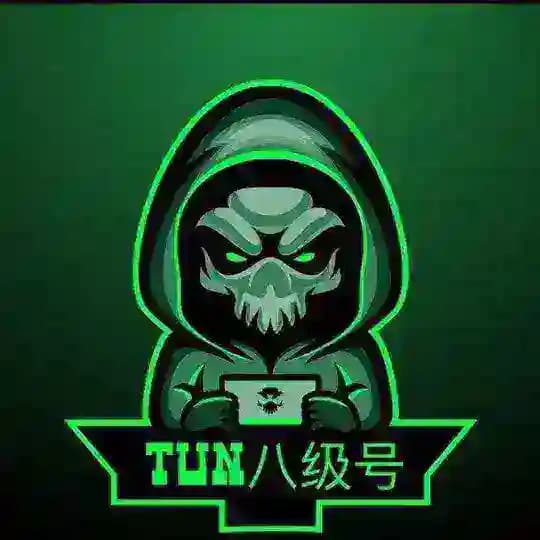 TUN八级号反馈 Profile