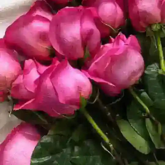 فٍْٓيٍْٓديٍْٓوهآٍْتٍْٓ🔥سٍْٓكٍْٓسيٍْٓهٍْٓ.قٍْٓصٍْٓصٍْٓ.نٍْٓيٍْٓكٍْٓر.مٍْٓحٍْٓآٍْرٍْٓمٍْٓر