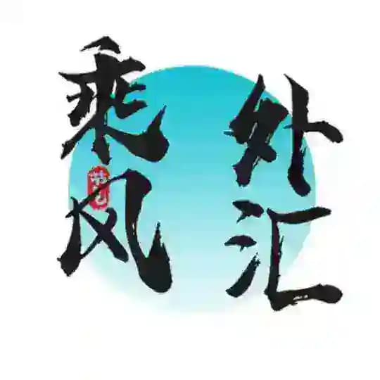 乘风外汇出村/洗钱