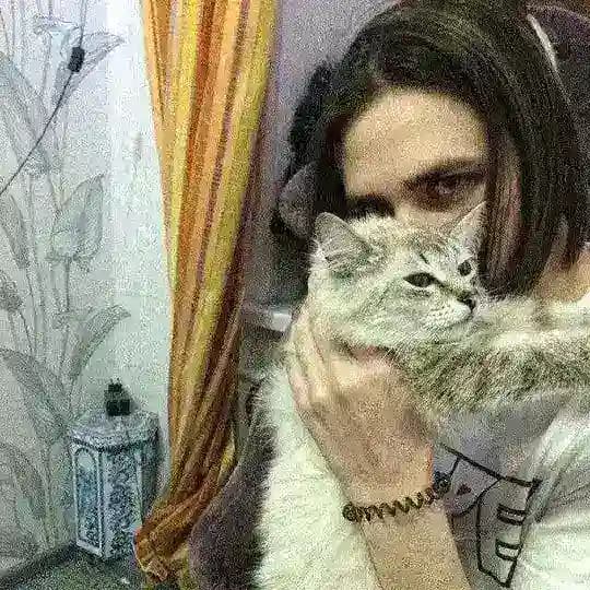 Face (фейс) все треки