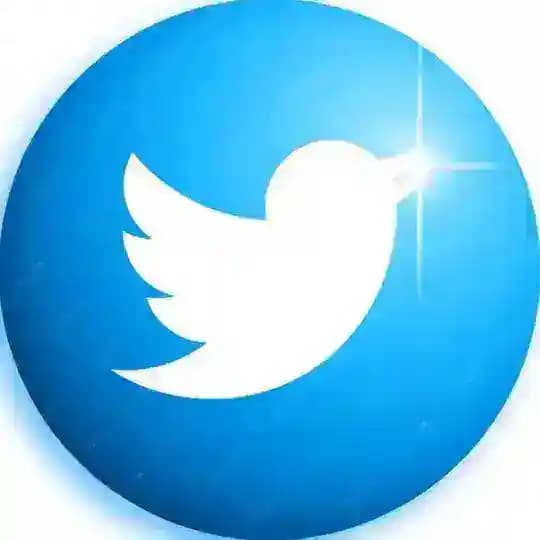 Facebook Twitter-X Followers [Service]