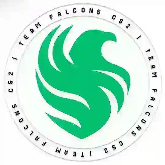 Team Falcons CS2