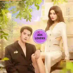 Fall In Love Again Profile